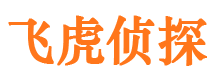 鹤峰市调查公司